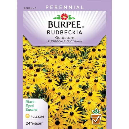 Burpee-Rudbeckia, Goldsturm Seed Packet