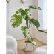 thumbnail image 4 of Simulación de plantas verdes, adornos decorativos for sala de estar, árboles artificiales de lujo, plantas biónicas grandes, plantas en maceta., 4 of 4