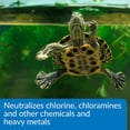 thumbnail image 4 of API Turtle Water Conditioner, Water Conditioner, 8 oz, 4 of 6