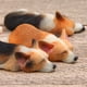 thumbnail image 4 of Lindo estilo Serie Sleepless Súper lindo Pequeño Corgi Modelo Chai Perro Hecho a mano DIY Refrigerador Pegatina Muñeca Pegatina magnética, 4 of 5