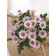thumbnail image 3 of 1PC 21heads Artificial Daisy Flowers Bouquet Valentine'S Day Gifts Bundle Decoration Wedding Decoration Bride Handheld Flower Wrist Flower Breast Mate, 3 of 4