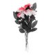 thumbnail image 4 of Flores artificiales para Halloween, accesorios decorativos para fotografía, bricolaje, un ramo de 5 flores blanco y rojo, 4 of 9