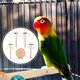 thumbnail image 3 of 1 Set Pájaro Pájaro Juguete Pájaro de madera Poste de pie Plataforma Percha Juguete, 3 of 5