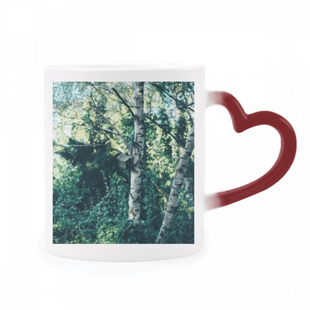 

Green Forestry Science Nature Scenery Heat Sensitive Mug Red Color Changing Stoneware Cup