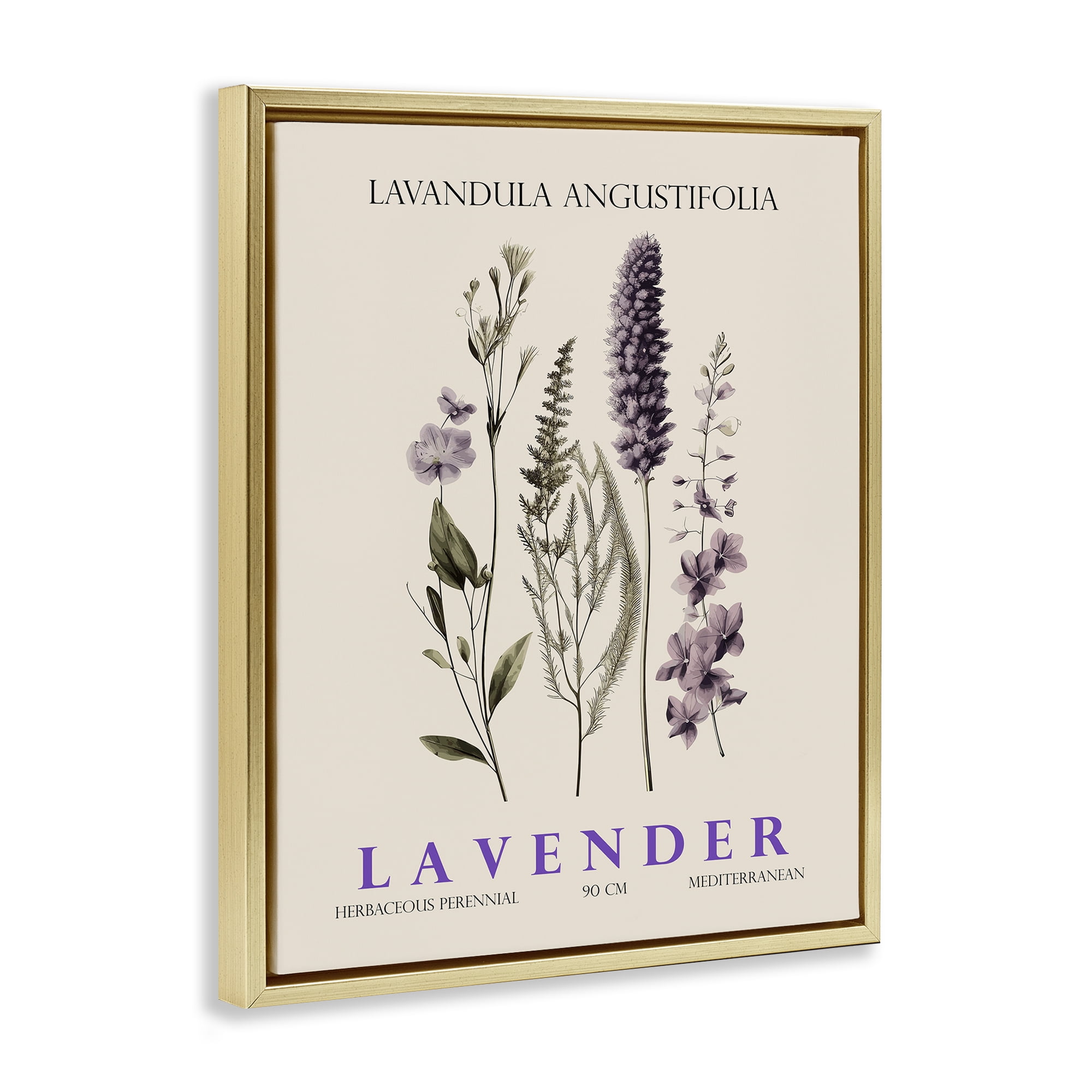 Stupell Industries Natural Lavender Bundle Gold Framed Floater Canvas Wall Art, design by Christopher Giampietro