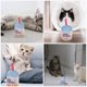 thumbnail image 4 of KAKOWELY Juguete de peluche para masticar con forma de pastel de cumpleaños para gatos, juguete interactivo para el hogar, juguete para morder para gatos, 4 of 4