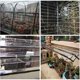 thumbnail image 5 of Transparent Waterproof Tarpaulin, Tear-Resistant Rainproof Windproof PVC Cover with Eyelets, Outdoor Terrace Garden Camping Protection Cover Thickness, 5 of 5