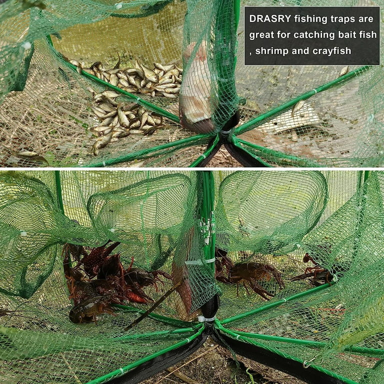 Drasry Fishing Bait Trap Fish Minnow Crayfish Crawdad Shrimp 6 Hole Foldable Cast Net Collapsible Dip Cage, Size: 6 Holes, Blue