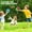 4 Paddles & 2 Balls, variant on Smartology Toss and Catch Ball Game Set with Paddle, Balls,, Outdoor Indoor Toys for Kids and Adult