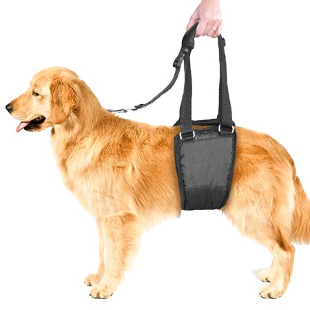 Dog Lit Dog Sling Lift, Support and Rehabilitation Padded K9 Hind Leg Underbelly Dog Harness for Injured, Weak, Old, or Arthitic Medium Breed Dogs by CoreLife (Male / Female M - ()