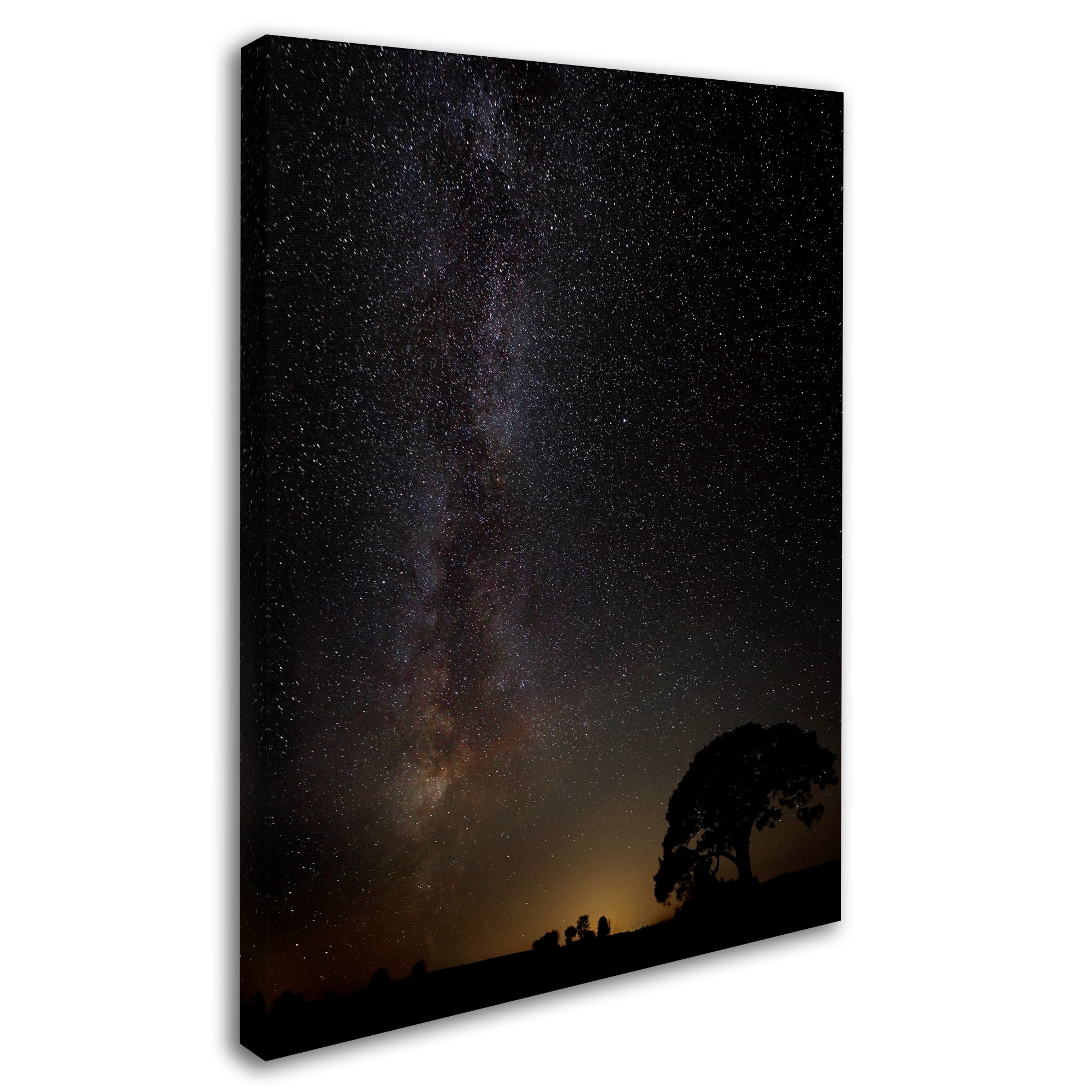 Trademark Fine Art 'Milkyway' Canvas Art by Kaspars Kurcens