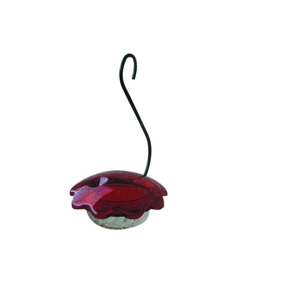 Hummingbird Single Cup Feeder