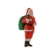 thumbnail image 5 of Figuras de personas a escala 1/64, decoración de casas de muñecas, decoración de bonsáis para el hogar, tren realista Papá Noel con bolsa, 5 of 9