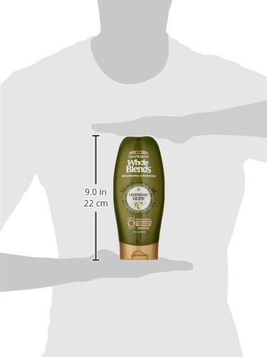 Garnier Whole Blends Replenishing Conditioner Legendary Olive, Dry Hair, 22 fl. oz.