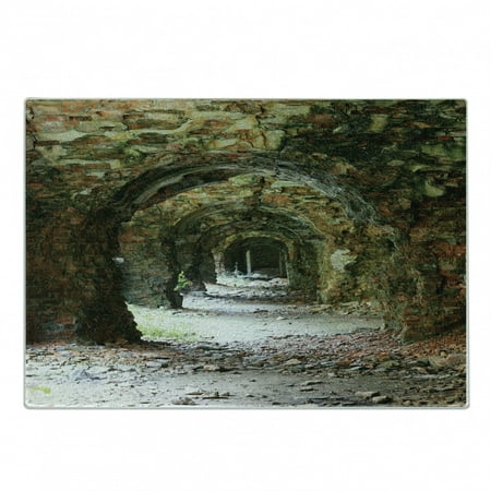 

Rustic Cutting Board Old and Ruined Arched Medieval Period Brick Tunnel Architecture Heritage Design Print Decorative Tempered Glass Cutting and Serving Board Small Size Grey Red by Ambesonne