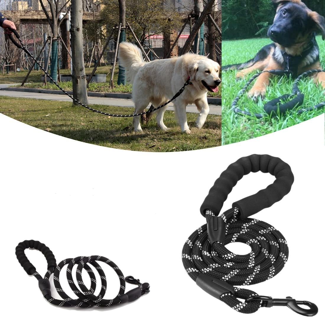 Are Slip Leads Cruel To Use On Dogs