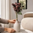 thumbnail image 3 of Brown Eucalyptus Seed Pods with Stems for Vase, Artificial Dried Branch Decor for Living Room Coffee Table Mantle, Farmhouse Centerpiece Decor Set, 3 Piece, 3 of 4