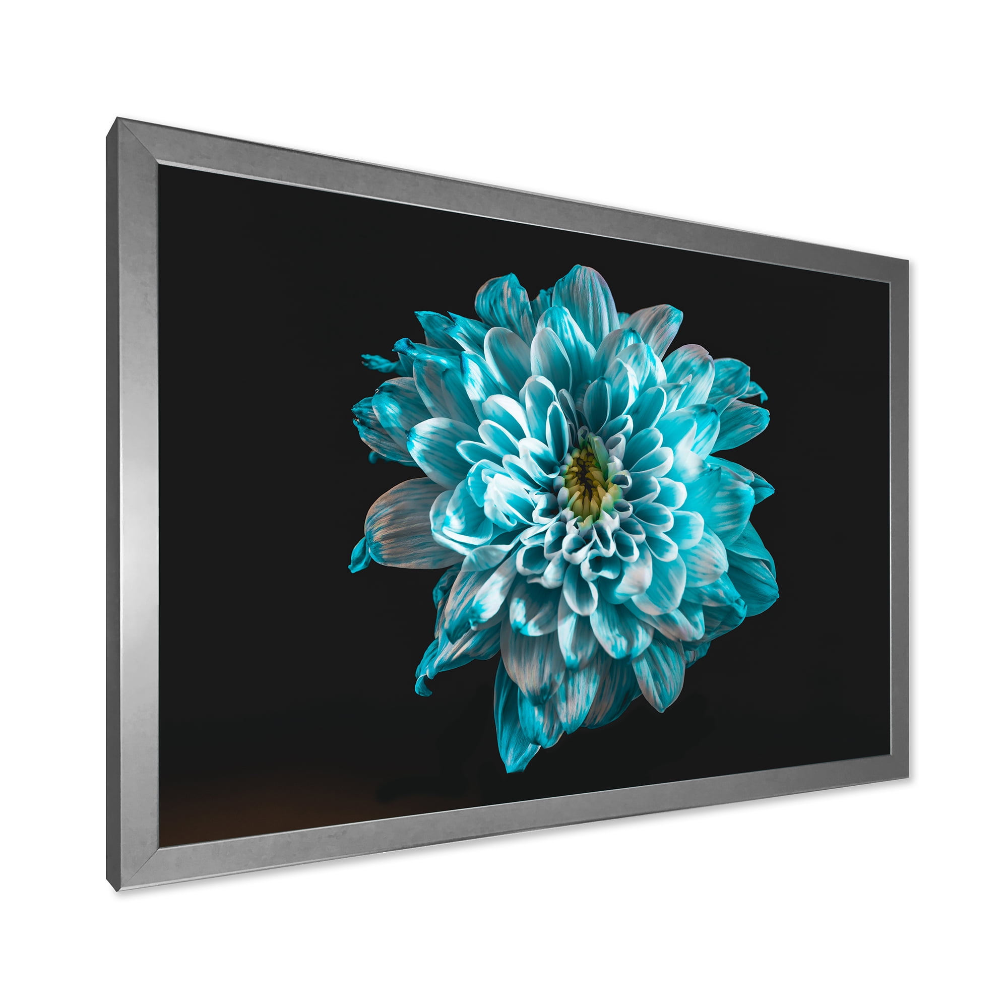 Designart 'Close Up Of Flower With White and Blue Petals' Traditional Framed Art Print