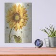 thumbnail image 4 of Luxe Metal Art 'Under The Sun I' by Lisa Audit, Metal Wall Art,, 12"x16", 4 of 9