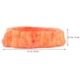 thumbnail image 2 of FESTFENDS Plato Para Reptiles Con Antideslizante Y Superficie Lisa Para Y Comida, 2 of 5