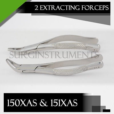 Set of 2 Dental Extracting Forceps 150XAS & 151XAS - Surgical Instruments