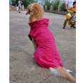 thumbnail image 3 of Chaqueta impermeable para perros con forro polar, impermeable, ropa para mascotas, 3 of 8