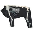 thumbnail image 2 of Pet Dogs Halloween Clothes Skeleton Costume Dog Clothing Preppy Outfits for Themed Party, 2 of 6