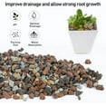 thumbnail image 6 of 5 Pound Mix Lava Rock Pebbles, 1/5 Inch Decorative Gritty Rocks for Plant, Succulent, Cactus Bonsai, Top Dressing, Drainage Volcanic Rocks, 6 of 7