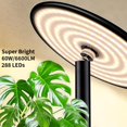 thumbnail image 2 of Grow Lights chiphy 85 Full Spectrum 60 W para plantas de interior, 2 of 9