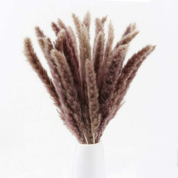 Plumas de hierba de pampas secas, 30 unidades de 17 pulgadas de alto, fragmitas naturales, comunis, tallos de flores artificiales de caña sintética para arreglos de boda, jarrón, puerta, habitación, Namotu WMZY-896