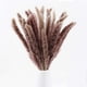thumbnail image 1 of Plumas de hierba de pampas secas, 30 unidades de 17 pulgadas de alto, fragmitas naturales, comunis, tallos de flores artificiales de caña sintética para arreglos de boda, jarrón, puerta, habitación, Namotu WMZY-896, 1 of 7