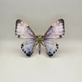 thumbnail image 6 of Steampunk Butterfly Neoris Hewitsoni Metal 3D Puzzle Model Kit for Collection Deco, 6 of 9