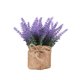 thumbnail image 1 of Macetas para Plantas Plantas Artificiales en Macetas de Flores, Mini Macetas de Flores, Plantas de Tela, Decoración Del Hogar, Fiestas, Bodas, Jardines, Mesas de Comedor, Oficinas, Decoración Del Pati, 1 of 6
