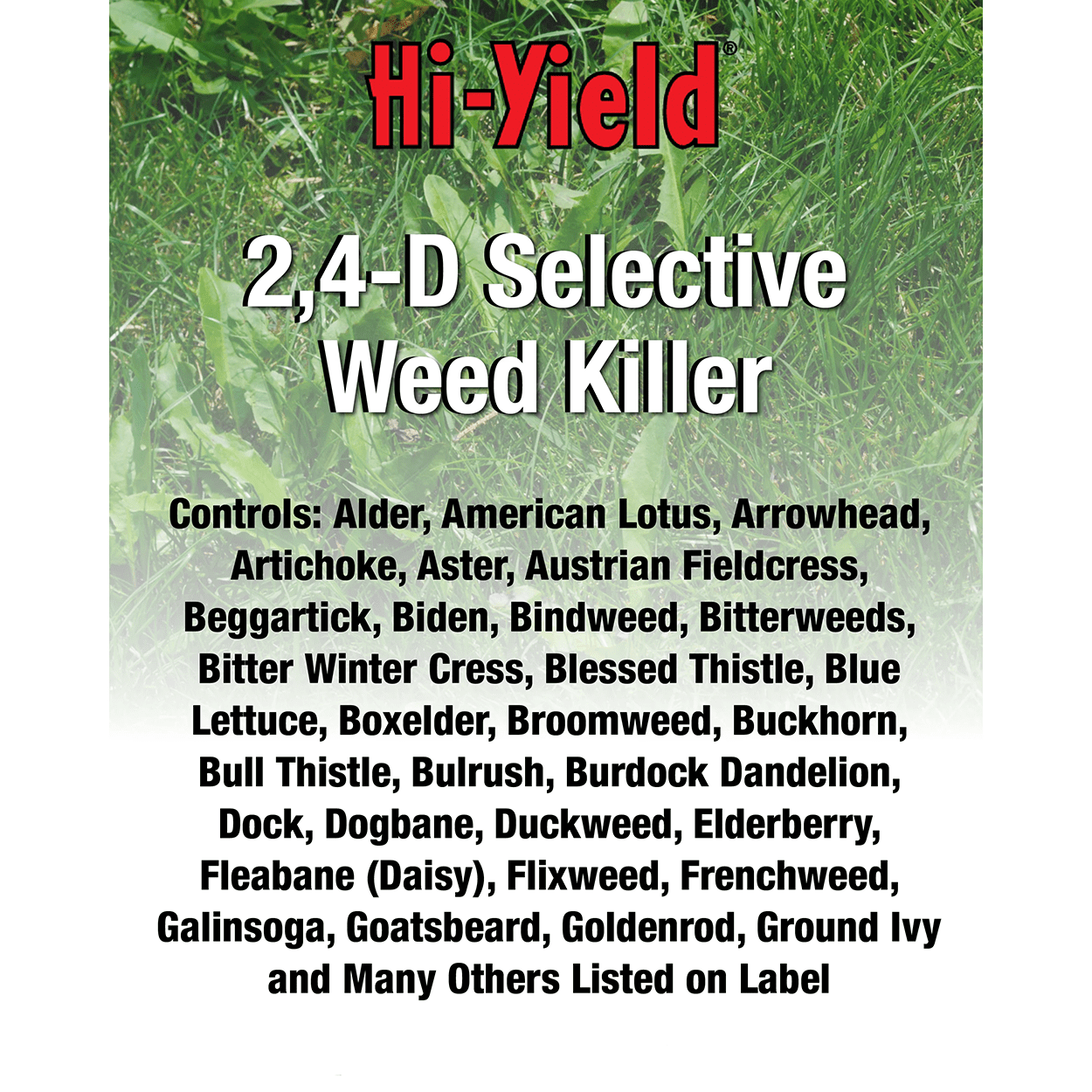 Hi-Yield (21415) 2,4-D Selective Weed Killer (32 oz)