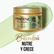 thumbnail image 3 of Mascarilla Intensiva Pantene Pro-V Miracles Bambú Nutre & Crece 300 ml, 3 of 5