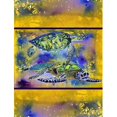thumbnail image 1 of 11 x 15 Po. Drapeau Turtle Taille Jardin, 1 of 1