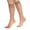 Bronze, variant on 6 Pairs Sheer Knee High Socks for Women 15 Denier Stay up Band (Black)
