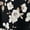 01-Black & White Floral, variant on Floral Button Down Shirts for Women Floral Print Blouse Casual Dressy Long Sleeve Boho Tops