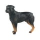 thumbnail image 4 of Estatuilla de perro Hugo Realista Rottweiler figura de acción pintada a mano, 4 of 10