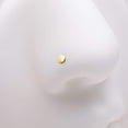 thumbnail image 2 of Implant Grade Titanium Golden Circle Icon L-Shaped Nose Ring, 2 of 5