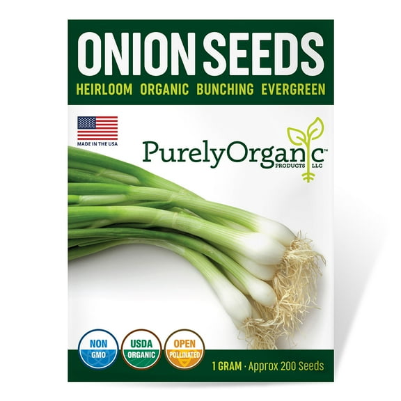 Purely Organic Bunching Evergreen Onion Seeds (Premium Heirloom, Organic, Non-GMO, Open Pollinated, Vegetable, Full Sun) - Approx 250 Seeds