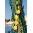 thumbnail image 2 of Wilson, Emily 17x24 Black Ornate Wood Framed with Double Matting Museum Art Print Titled - Italy-Apulia-Province of Barletta-Andria-Trani-Trani Close-up of fishing net and floats, 2 of 4