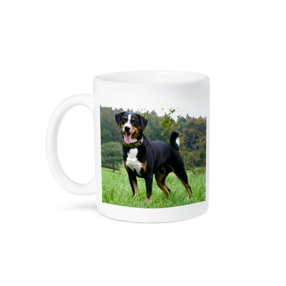 3dRose, Appenzeller Mountain Dog, 11oz Mug