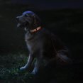 thumbnail image 3 of CollarDirect Reflective Dog Collar for a Small Medium Large Dog or Puppy with a Quick Release Buckle - Boy and Girl - Nylon Suitable for Swimming (18-26 Inch Lime Green), 3 of 5