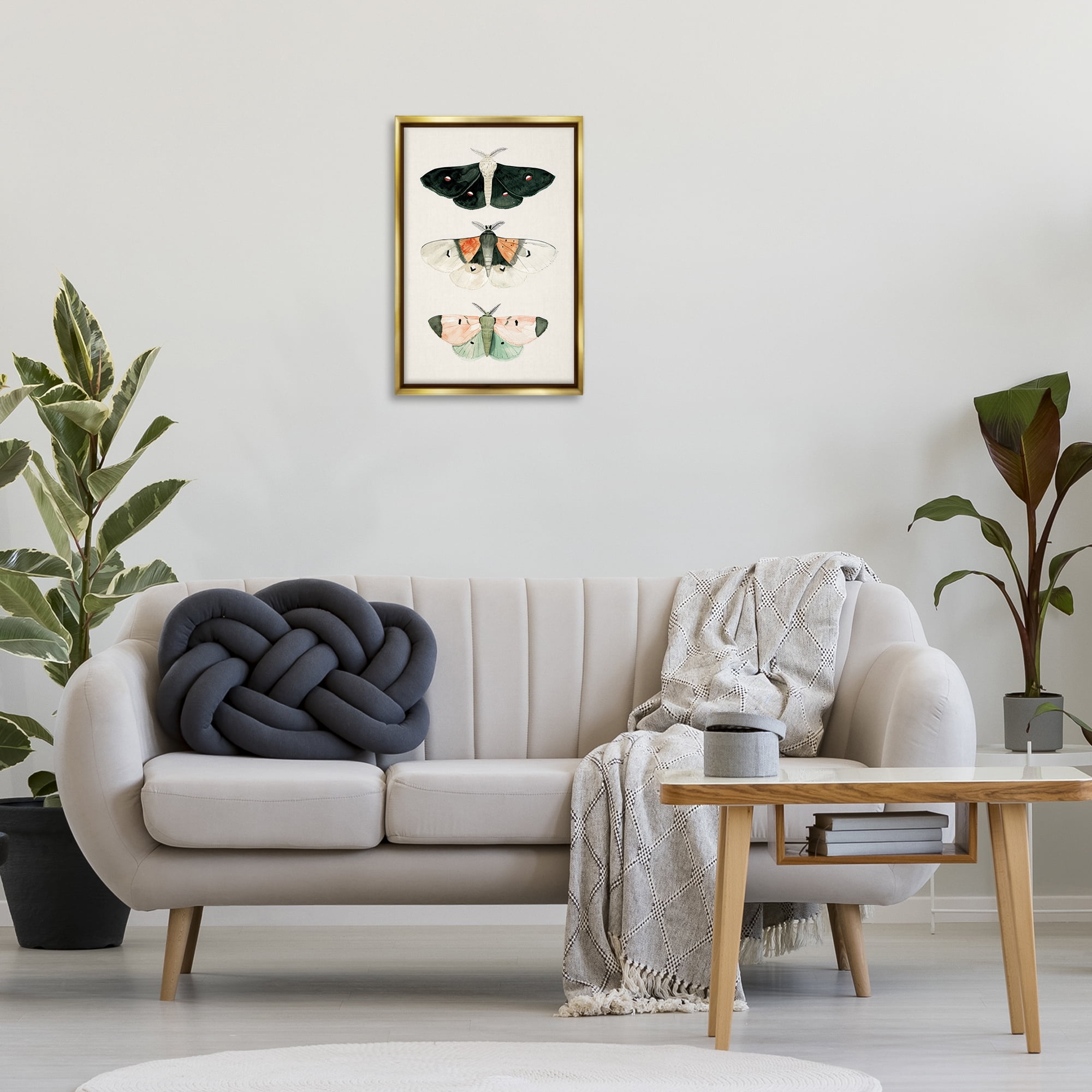 Stupell Industries Assorted Moth Trio Animals Painting Gold Floater Framed Canvas Art Print Wall Art, 17 x 25