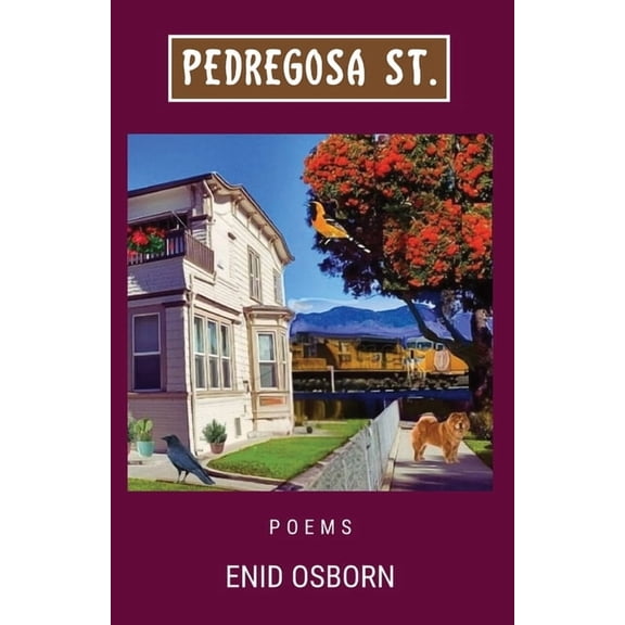 Pedregosa St., (Paperback)