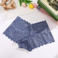 thumbnail image 7 of Women's Lace Hipster Panty - Semi-Sheer Seamless Soft Underwear with Cotton Liner, 7 of 7