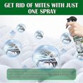 thumbnail image 3 of 3pcs Mite Killer Spray Natural Bed Bug and Dust Mite Spray for Furniture Carpet, 3 of 5