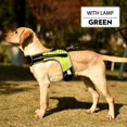 thumbnail image 2 of New K-shaped Luminous LED Harness For Pet Dog Chest Harness For Medium And Large Dogs Night Travel, 2 of 8