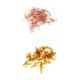 thumbnail image 1 of 50pcs Señuelo Pesca Suave Cangrejos Cabeza Pllla Cangrejos Marrón Rojo Sunnimix Señuelo de pesca de cebo suave, 1 of 8